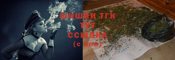 МДПВ Абаза