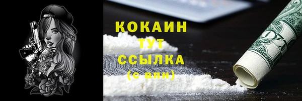шишки Абинск