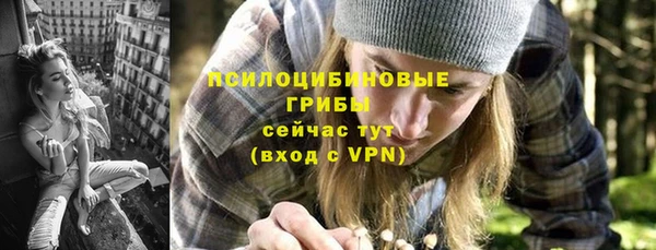 шишки Абинск