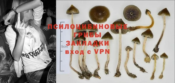 МДПВ Абаза